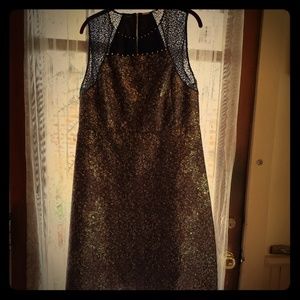 NWT Elie Tahari vera dress size 14